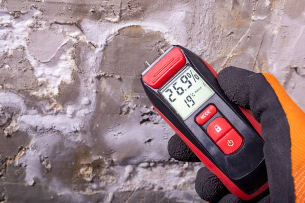 Best Mold Testing  in Shinnecock Hills, NY