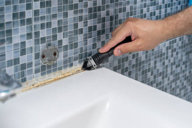 Mold Removal Process in Shinnecock Hills, NY