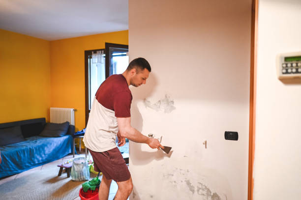Best Local Mold Removal Service  in Shinnecock Hills, NY